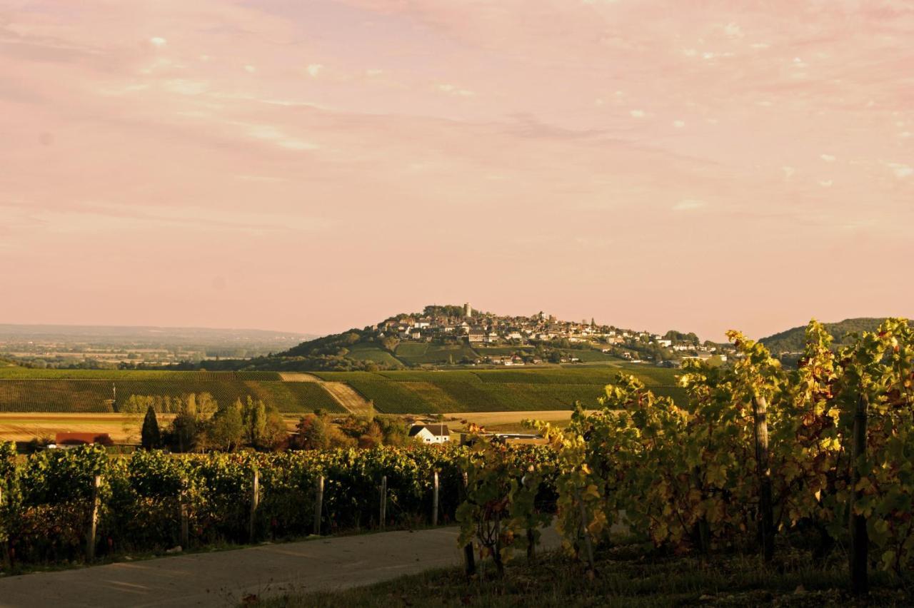 Au 9 Rue De La Paix, Maison D Elisabeth Villa Sancerre Bagian luar foto